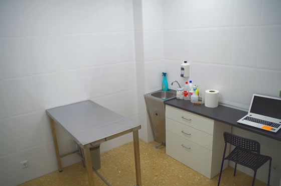 consulta_veterinaria_1
