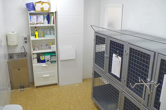 hospitalizacion_veterinaria