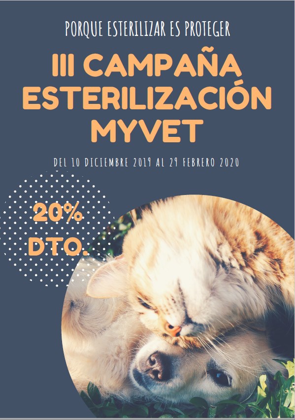 campaña esterilización Teruel